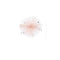 Blush Star Tulle Hair Clip