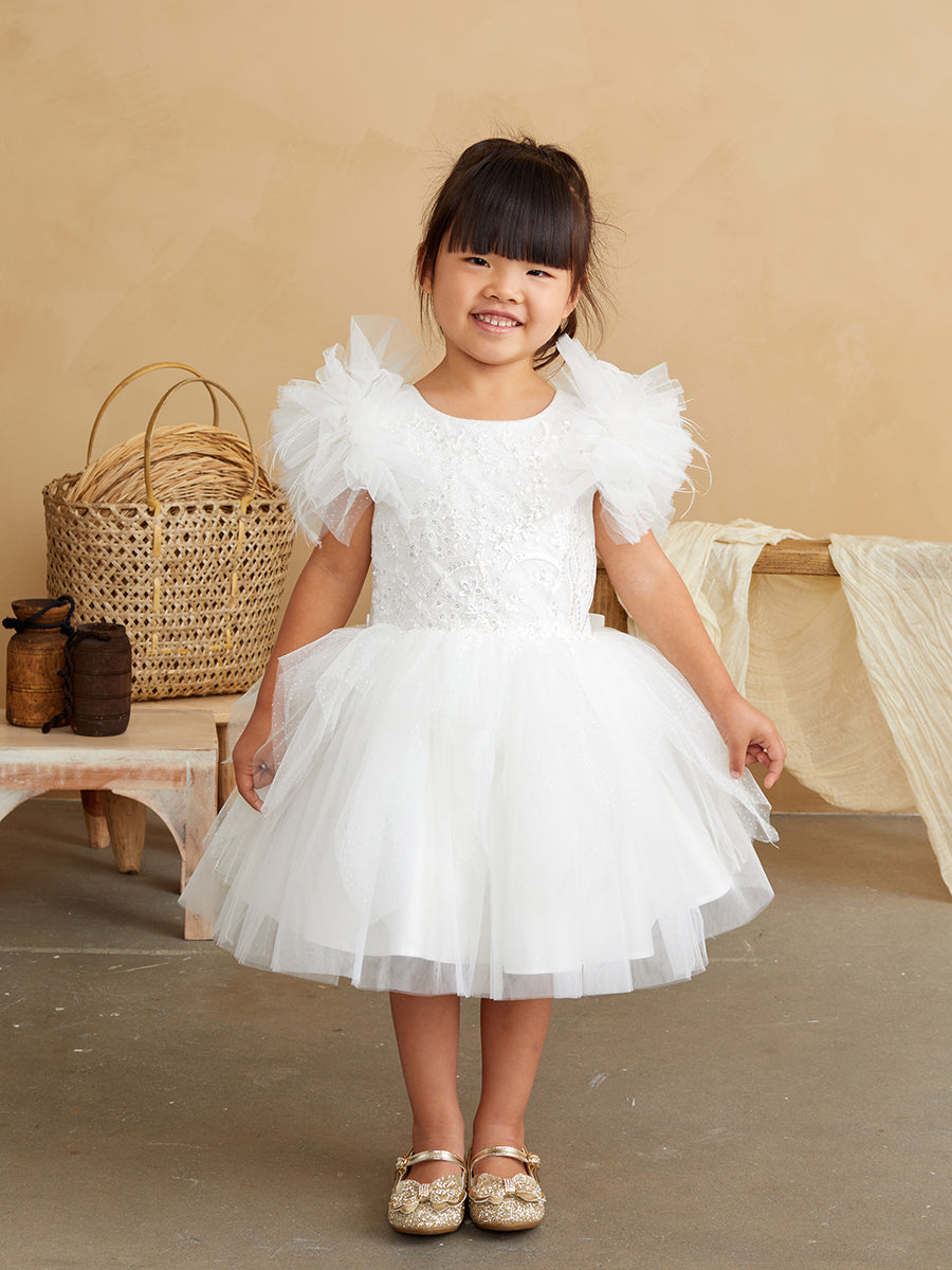Ivory Girls Mesh and Glitter Lace Bodice Dress with Fluffy Sleeves