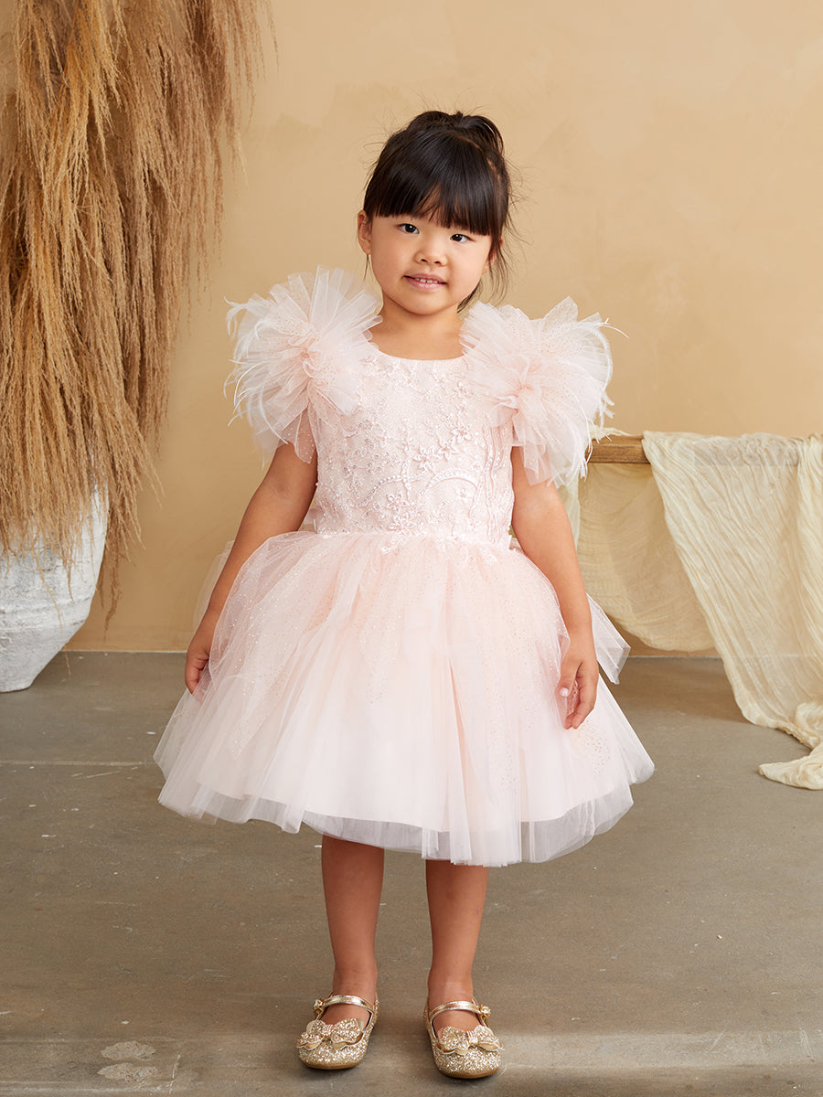 Blush Girls Mesh and Glitter Lace Bodice Dress with Fluffy Sleeves