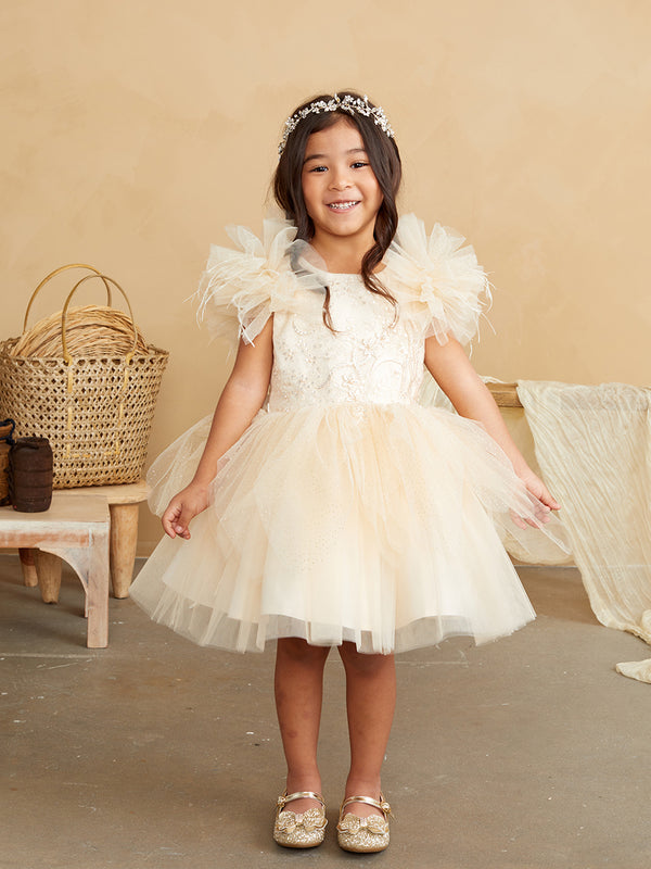 Champagne Girls Mesh and Glitter Lace Bodice Dress with Fluffy Sleeves